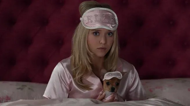 Llega a Elle a Prime Video.