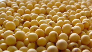 La perspectiva de una guerra comercial en toda regla agitó los mercados financieros y preocupó a los inversores en cereales.