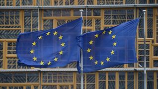 El acuerdo entre el Mercosur y la Unión Europea continúa estático a partir de los reclamos ambientales.