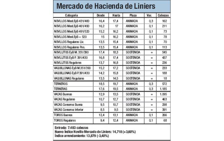 Mercado de Liniers: Novillo subió 3,59%