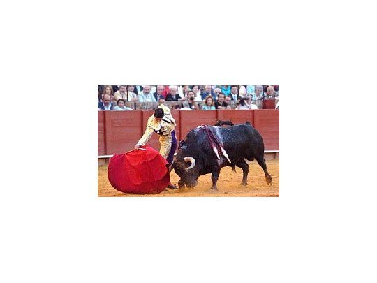 Los toros están en franca decadencia, dijo un senador nacionalista catalán.