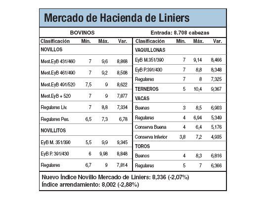 Novillitos subieron un 0,5%