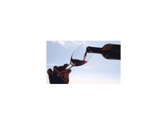 Veto a la publicidad de vino enciende alerta en San Juan y Mendoza