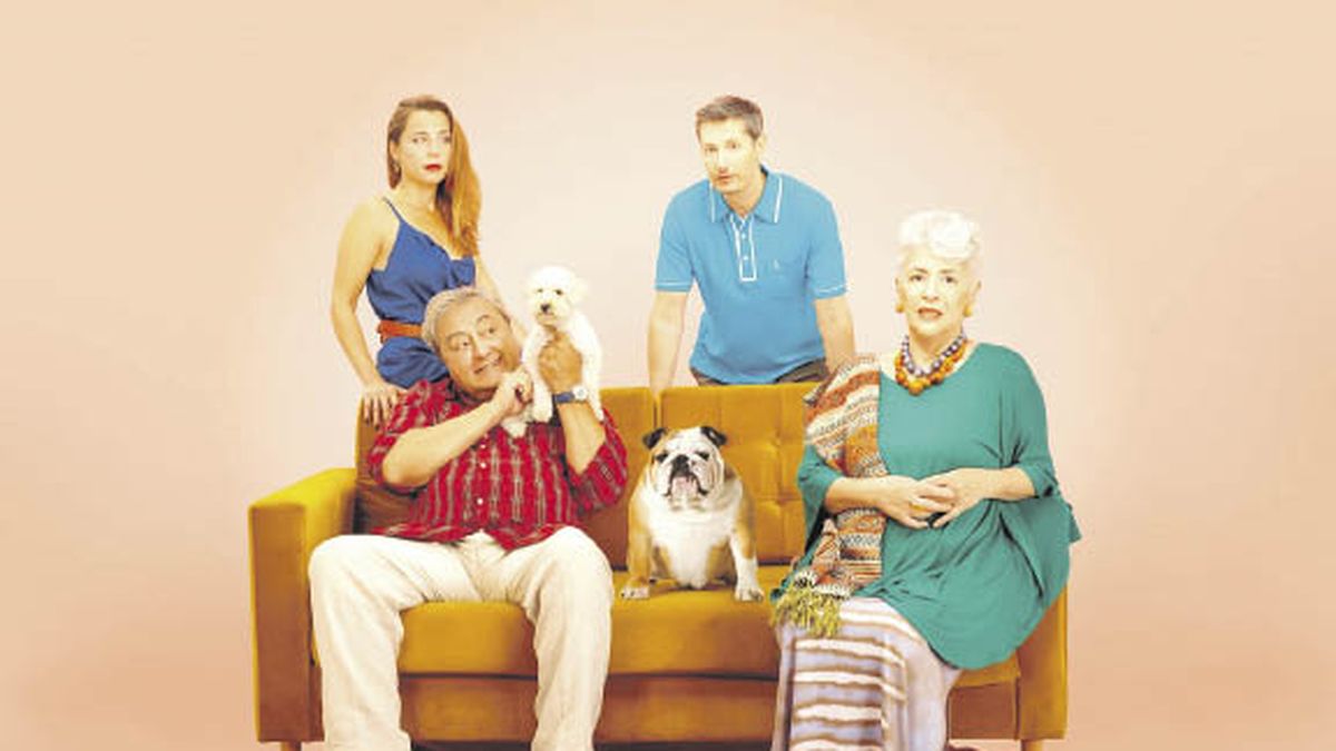 Pets, mediators in the contemporary family