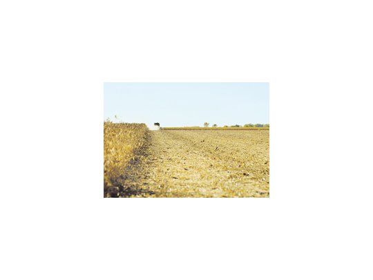 Según indicaron las Bolsas de Cereales de Buenos Aires y de Rosario, la superficie sembrada sería un poco inferior a los 3,2 millones de hectáreas.