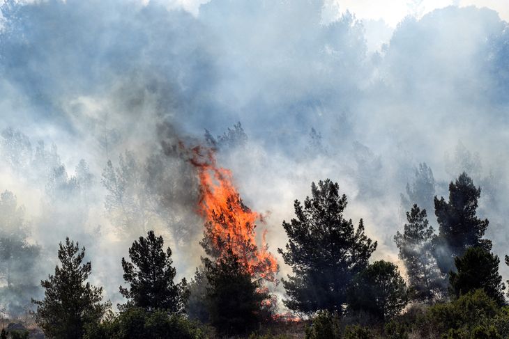 Firefighters and military equipment had to work to put out the fire in several parts of northern Israel. Firefighters and military equipment had to work to put out the fire in several parts of northern Israel.