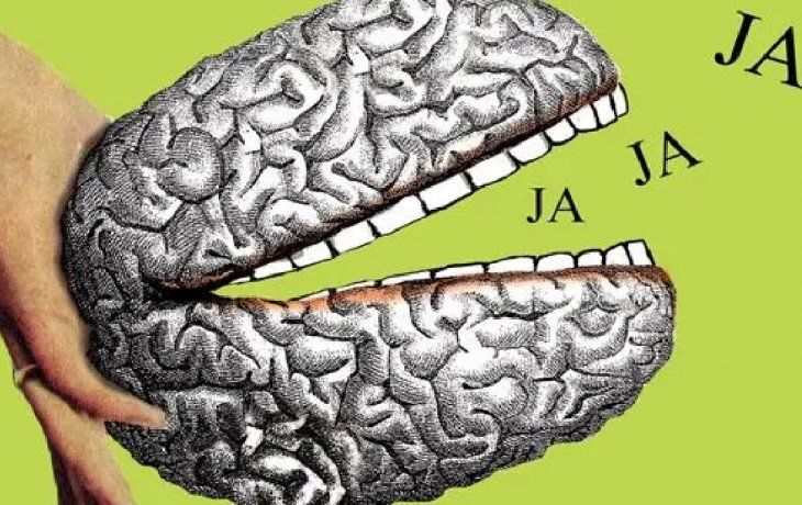Cerebro y humor.&nbsp;