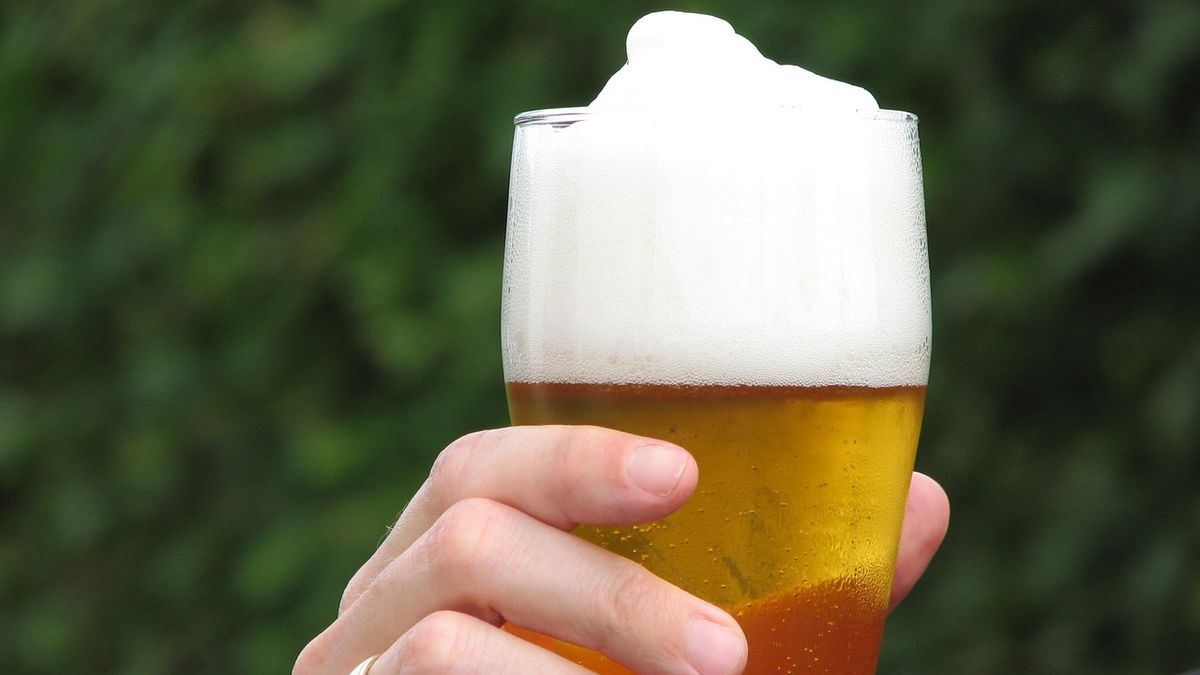 The Deputies Finance Commission asked to modify the Imesi settlement for beer