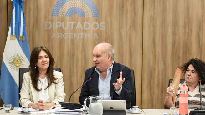 Silvana Ginocchio y Hernán Lombardi, autoridades de la Comisión de Cultura.