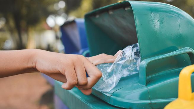 La Ciudad sancionará a quienes revuelvan la basura