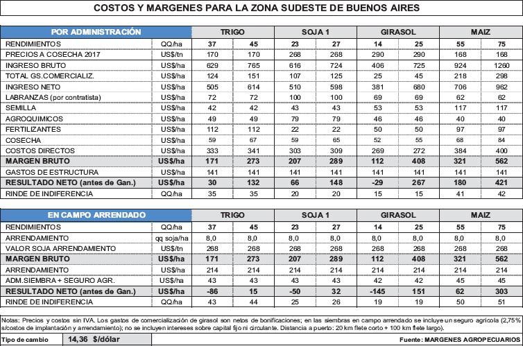 Retraso en la siembra de trigo (foto 1)