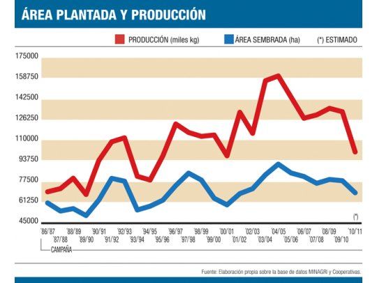 Exportación, destino obligado para el tabaco