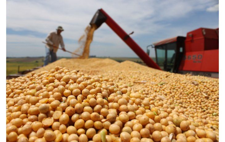 Cayó un 2,8% la liquidación de soja a u$s 301 millones