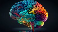 Sostener estos hábitos es una estrategia activa para mantener el correcto funcionamiento cerebral a largo plazo.