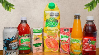 quien es el verdadero dueno de jugos boing en 2026 quien es el verdadero dueno de jugos boing en 2026
