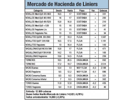 Mercado de Liniers: novillo bajó 0,7%