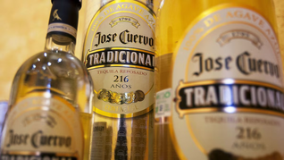 Grupo Becle o José Cuervo, como se lo conoce popularmente, es uno de los fabricantes de tequila más importantes del país. Grupo Becle o José Cuervo, como se lo conoce popularmente, es uno de los fabricantes de tequila más importantes del país.