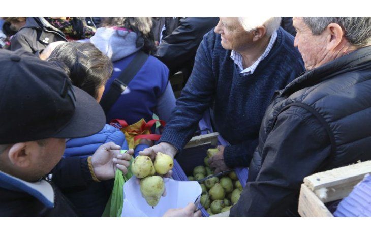 Productores frutícolas reclamaron ante ministros la intervención del Gobierno