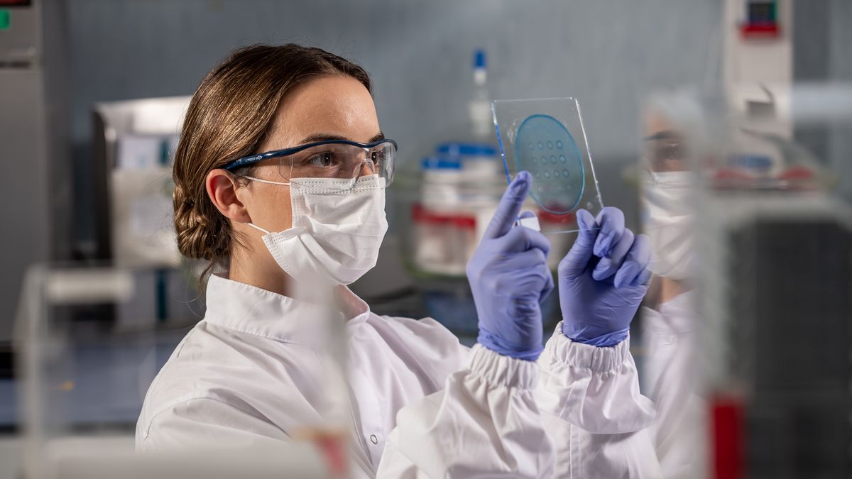 They developed a kidney cancer vaccine that showed total effectiveness in all patients