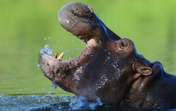 Se advirtió sobre una posible catástrofe ecológica.