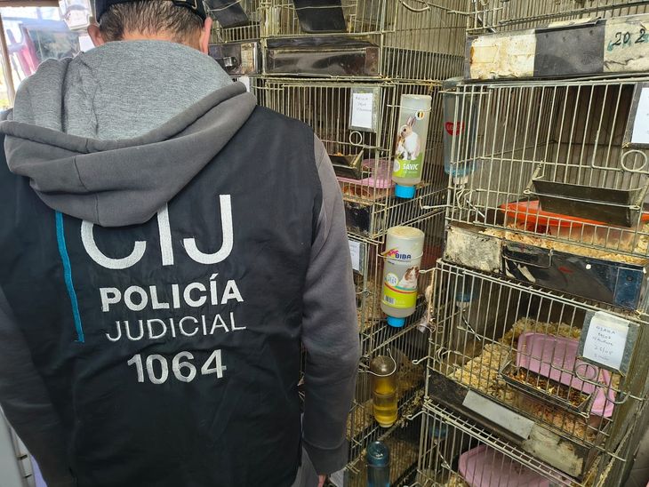El criadero ilegal fue desmantelado por la Unidad Fiscal Especializada en Materia Ambiental (UFEMA).