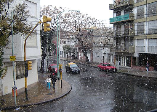 Caballito pudo disfrutar de la nieve.