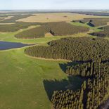 El CAF destacó a Uruguay como un ejemplo exitoso de diversificación e inversión en el agro. El CAF destacó a Uruguay como un ejemplo exitoso de diversificación e inversión en el agro.