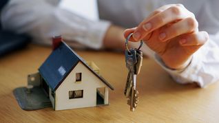 La informalidad en el sector inmobiliario es del 50%.