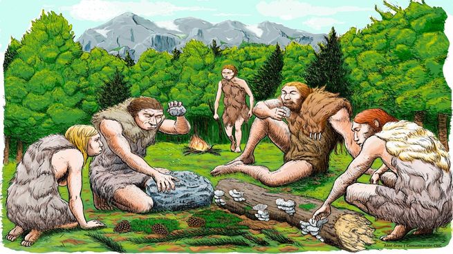 El hombre de Neandertal sigue revelando sus secretos.