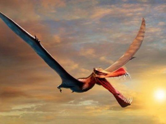 dinosaurio dragon.jpeg
