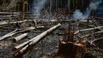 mundo financiero preocupado por incendios en el amazonas