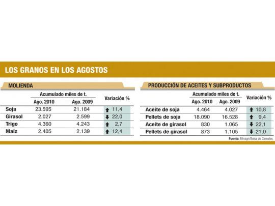 Exportación de granos cayó en embarques y divisas