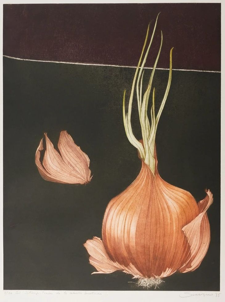 Alicia Scavino Alicia Scavino