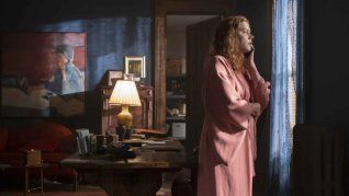 Amy Adams interpreta a una mujer que, aislada por su agorafobia, presencia un crimen desde su ventana.