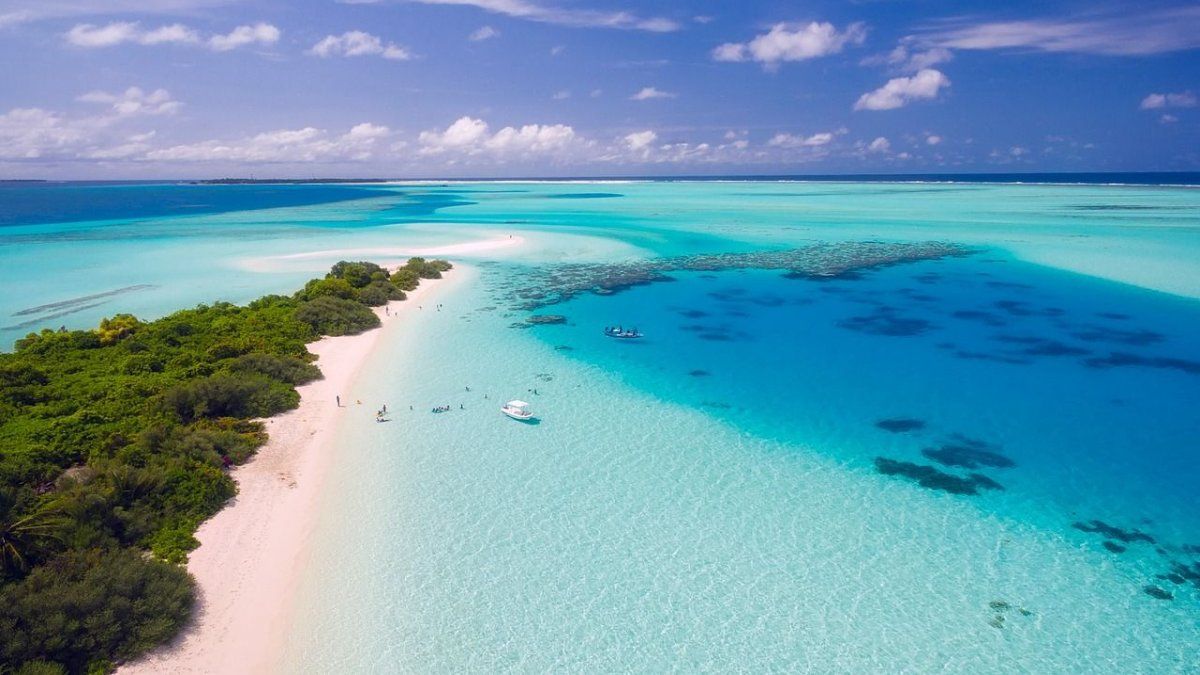 46 rooms, access to the sea and virgin beaches: what is the luxurious hotel in Maldives that costs more than 2 thousand euros per night