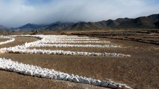Este lugar ha logrado maravillar al turismo por su reconocido ovnipuerto. Este lugar ha logrado maravillar al turismo por su reconocido ovnipuerto.