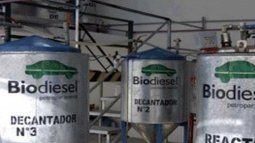 Biodiesel: the Government advanced the price increase due to the increase in costs