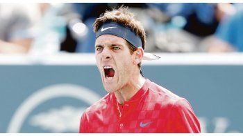 Del Potro avanza y se le abre el cuadro