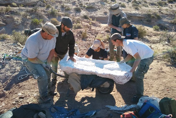 Grupo de paleontólogos argentinos realizan importante descubrimiento en la Patagonia. Grupo de paleontólogos argentinos realizan importante descubrimiento en la Patagonia.