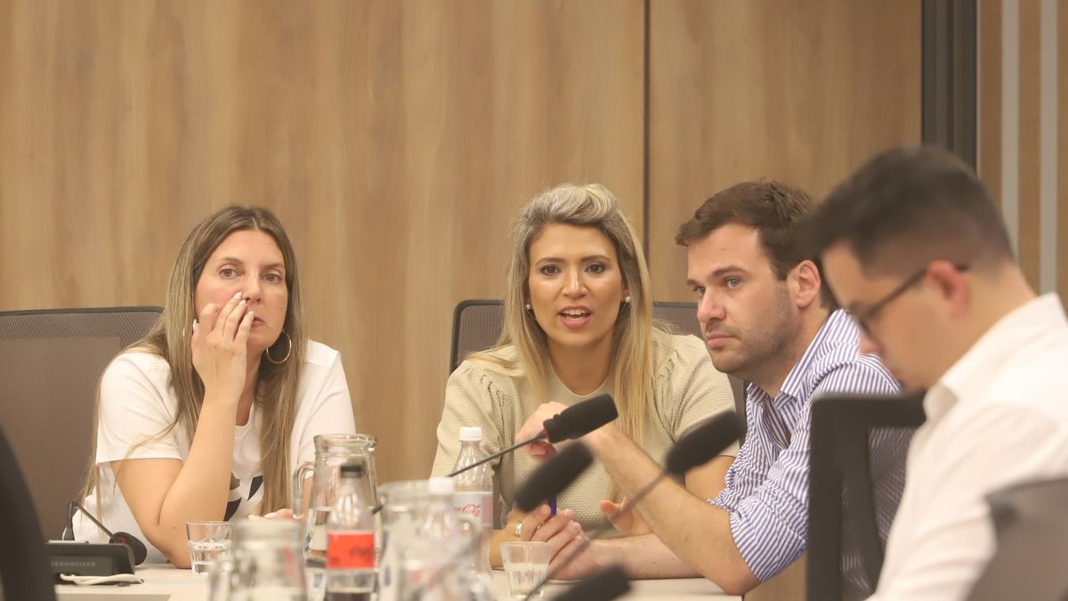Clean file is discussed in deputies and the government will again require allies to achieve the opinion