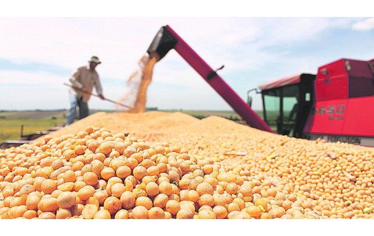 Cuestión de mercado. En el caso de los commodities agrícolas el precio viene formado, y cualquier gravamen distorsivo que se aplique en el comercio le quita rentabilidad a toda la cadena.