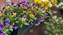 With recycled materials, you can create centerpieces and vertical gardens that renew any space in the house.