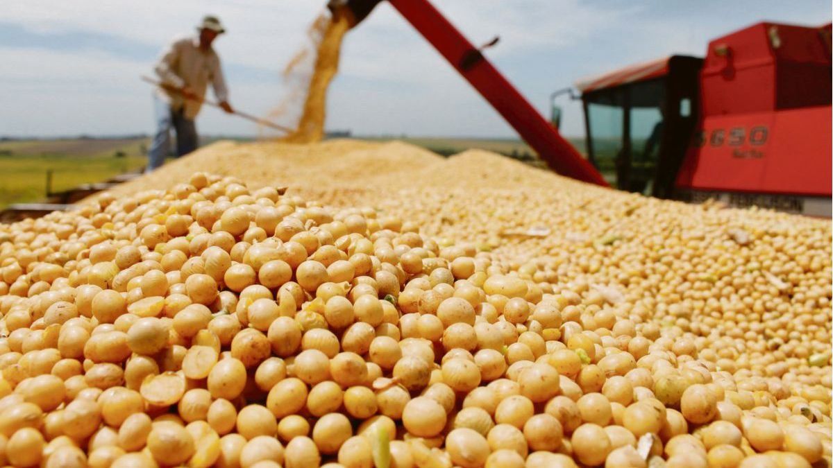 La producción de soja de la campaña 2020/2021 fue de 43,3 millones de toneladas