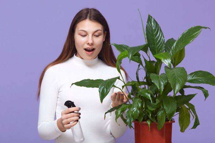 Este recurso sirve para el cuidado de las plantas, el mantenimiento del compost y el control de plagas. Este recurso sirve para el cuidado de las plantas, el mantenimiento del compost y el control de plagas.