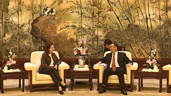 Diana Mondino: El swap con China, Massa lo utilizó para intervenir en el mercado