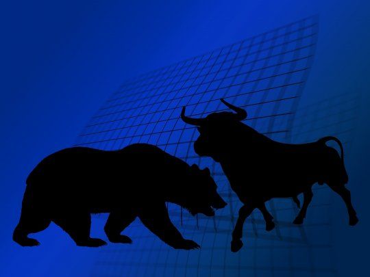 toros osos