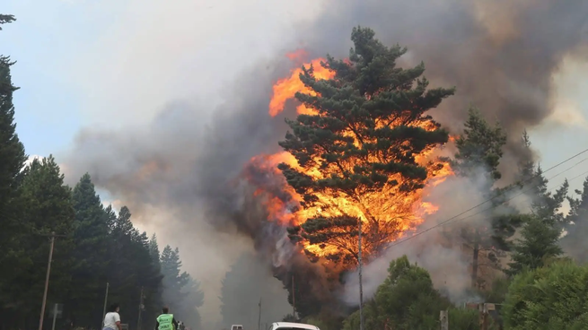 A un día de comenzado el incendio forestal, el fuego ya consumió 2 mil hectáreas y arrasó un aproximado de 50 viviendas.