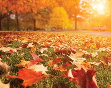Con pequeños cambios podés adaptarte mejor al otoño y aprovecharlo al máximo. Con pequeños cambios podés adaptarte mejor al otoño y aprovecharlo al máximo.