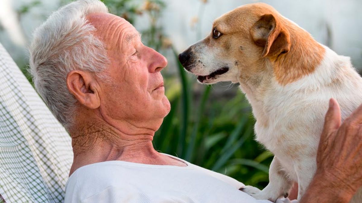 The “kisses” of dogs are not always because of love, according to a veterinarian