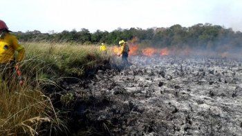 ámbito.com | incendios forestales misiones 1